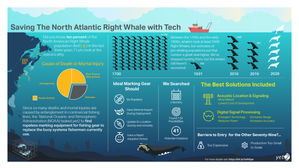 NOAA’s Tech Search Aims to Aid North Atlantic Right Whale Recovery